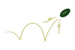 Illustratiuons of green australian football