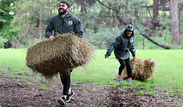 Two people laughing and carrying hay bales. They are wearing green rain jackets.